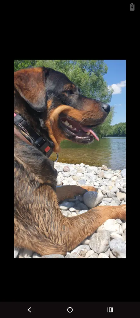 Bild von Zora
