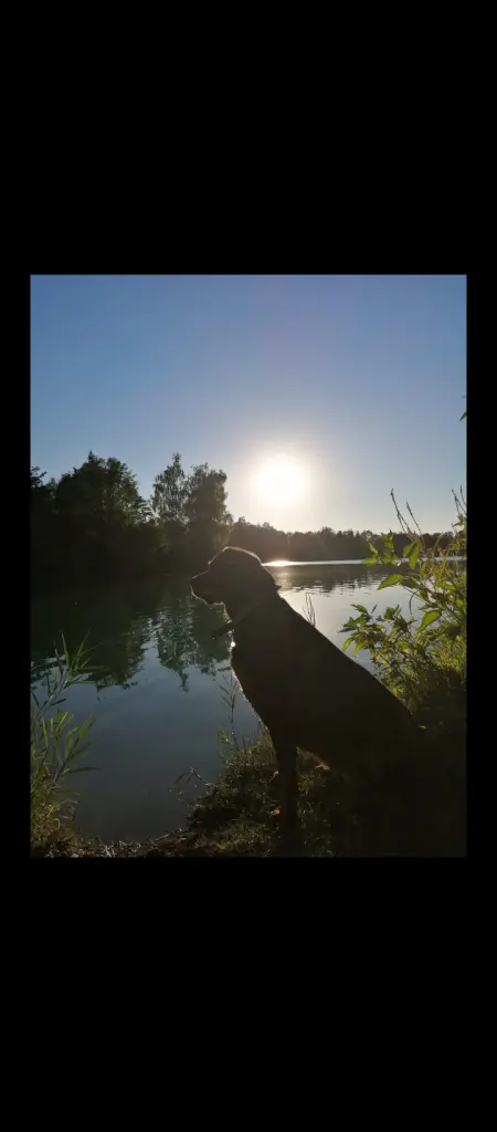 Bild von Zora