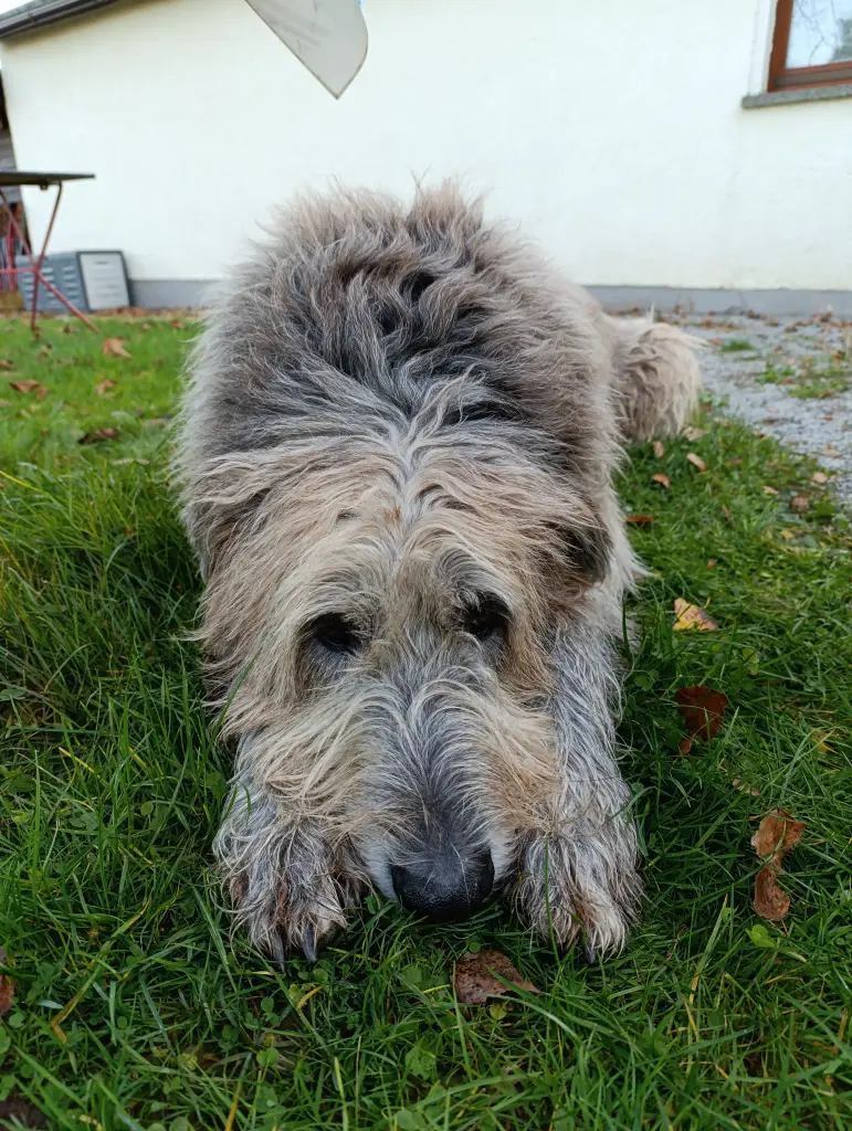 Bild von Manni