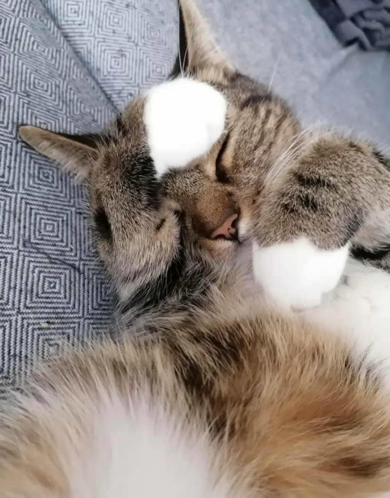 Du warst immer so unglaublich süß 😍❤️