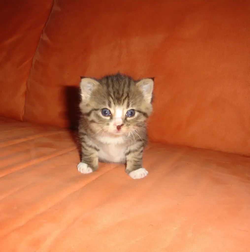 Bild von Lilly