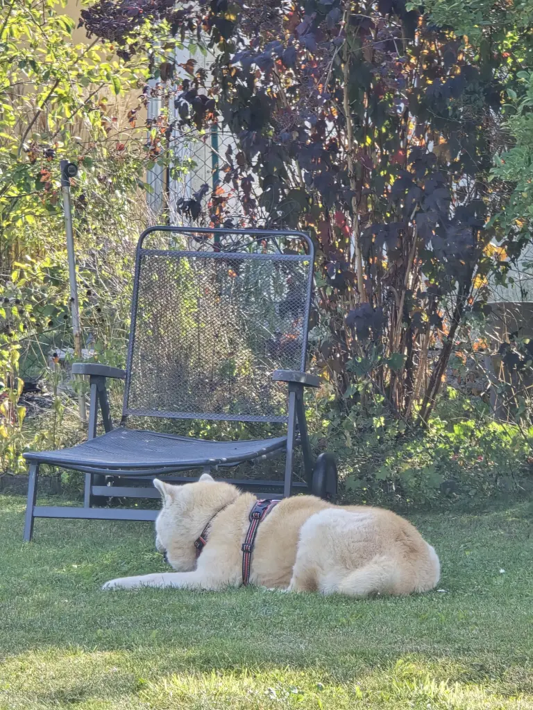 Bild von Kira