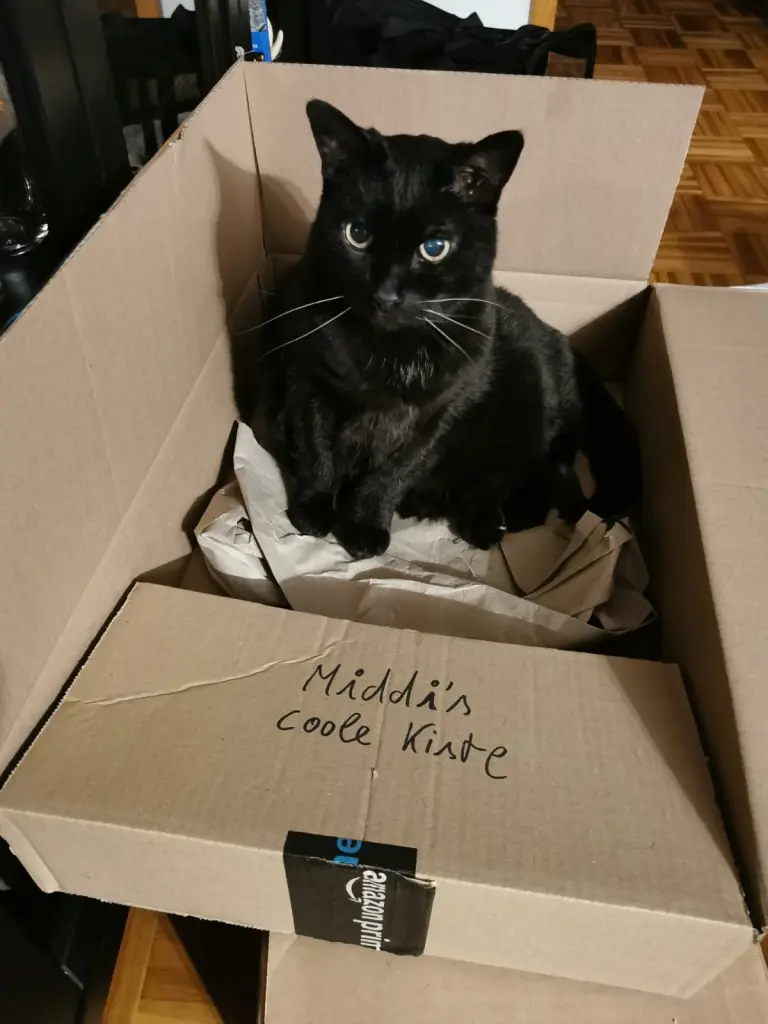 Bild von Midnight