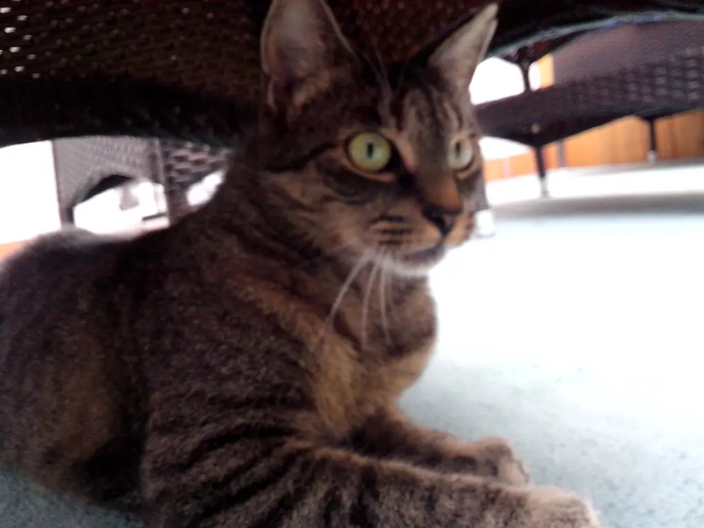Bild von Minka