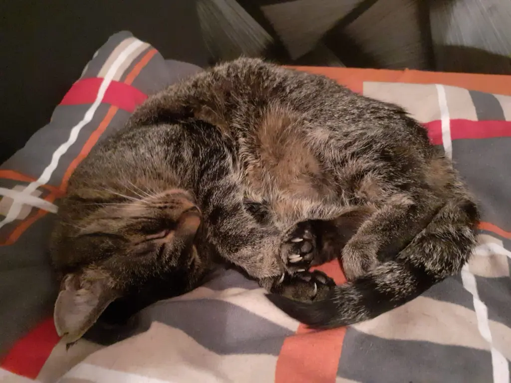 Bild von Minka