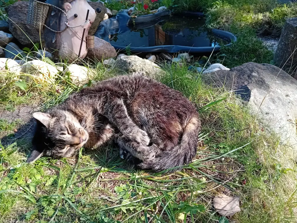 Bild von Minka