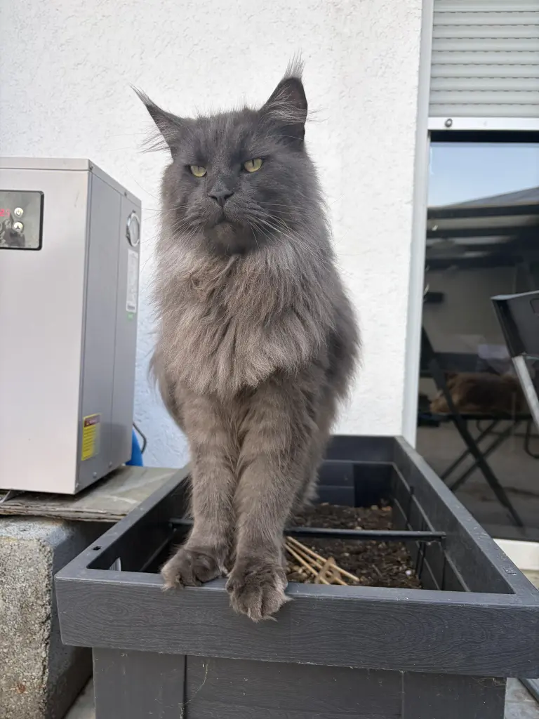 Bild von Titus