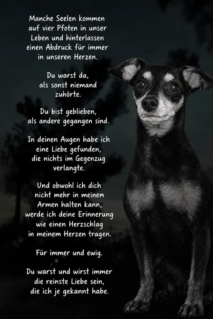 Bild von Pablo