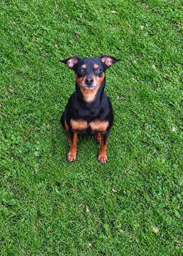 Bild von Pablo