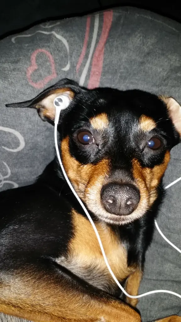 Bild von Pablo