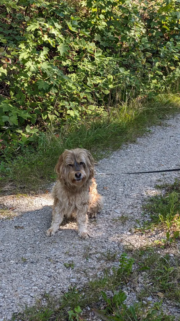 Bild von Polly