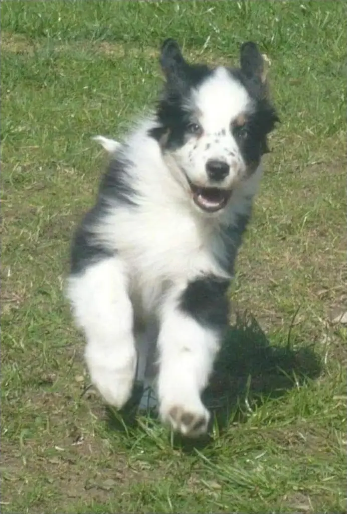 Bild von Susi
