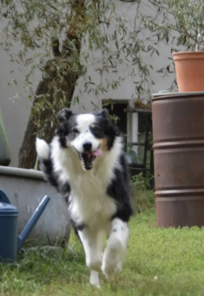 Bild von Susi