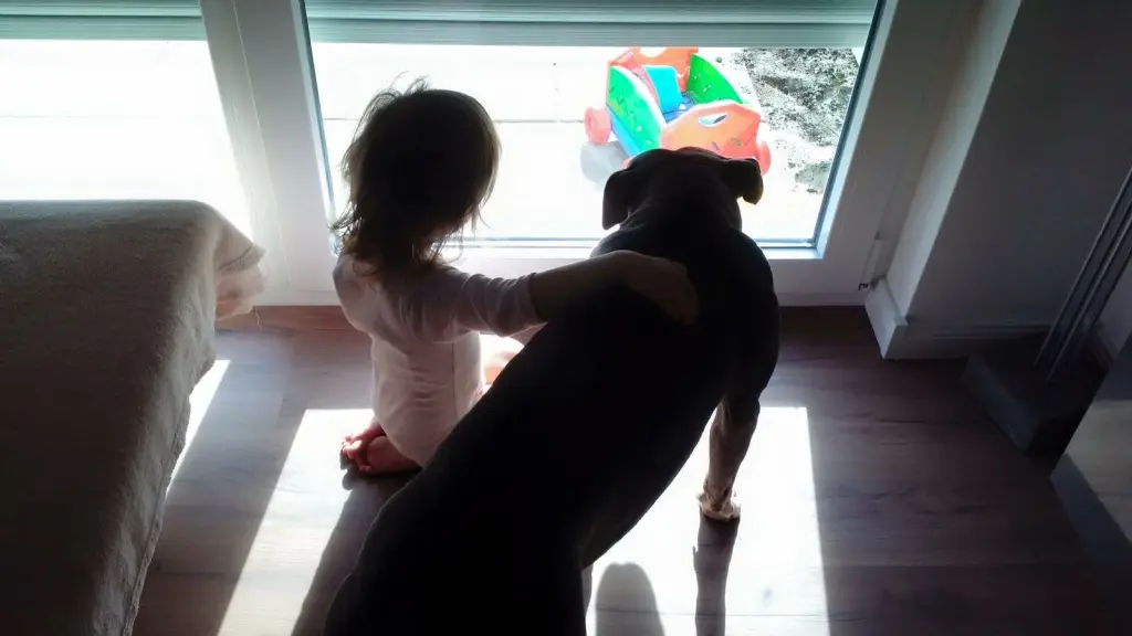 Image from Ayla