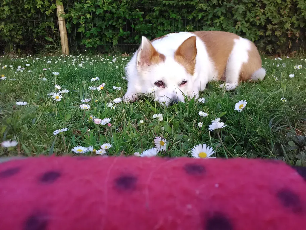 Bild von Sara