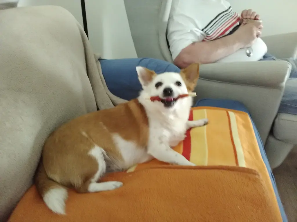 Mein Leckerli !!!!