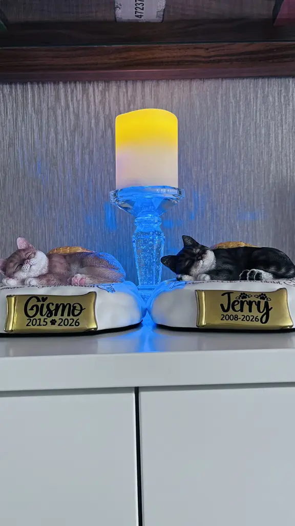 Gismo & Jerry