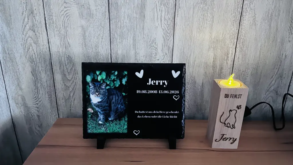 Jerry 🐈⬛