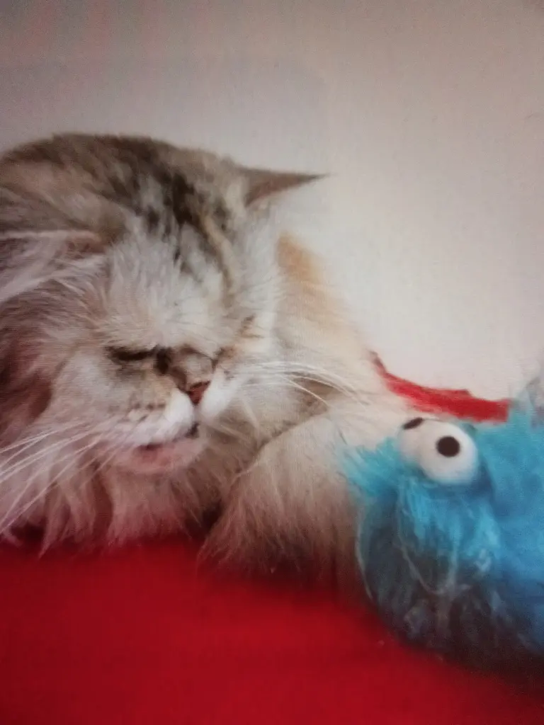 Andachtsbild von Karin Preuß