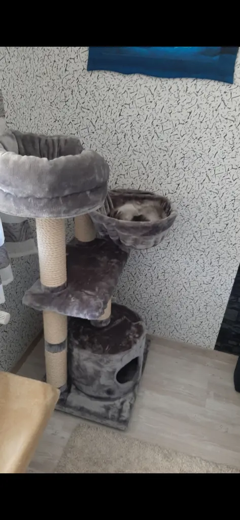 Bild von Sunny