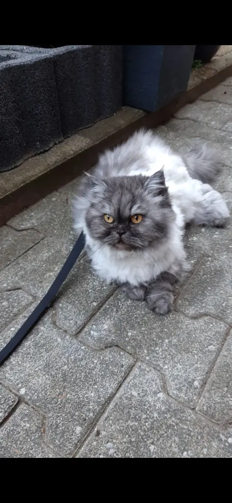 Bild von Sunny
