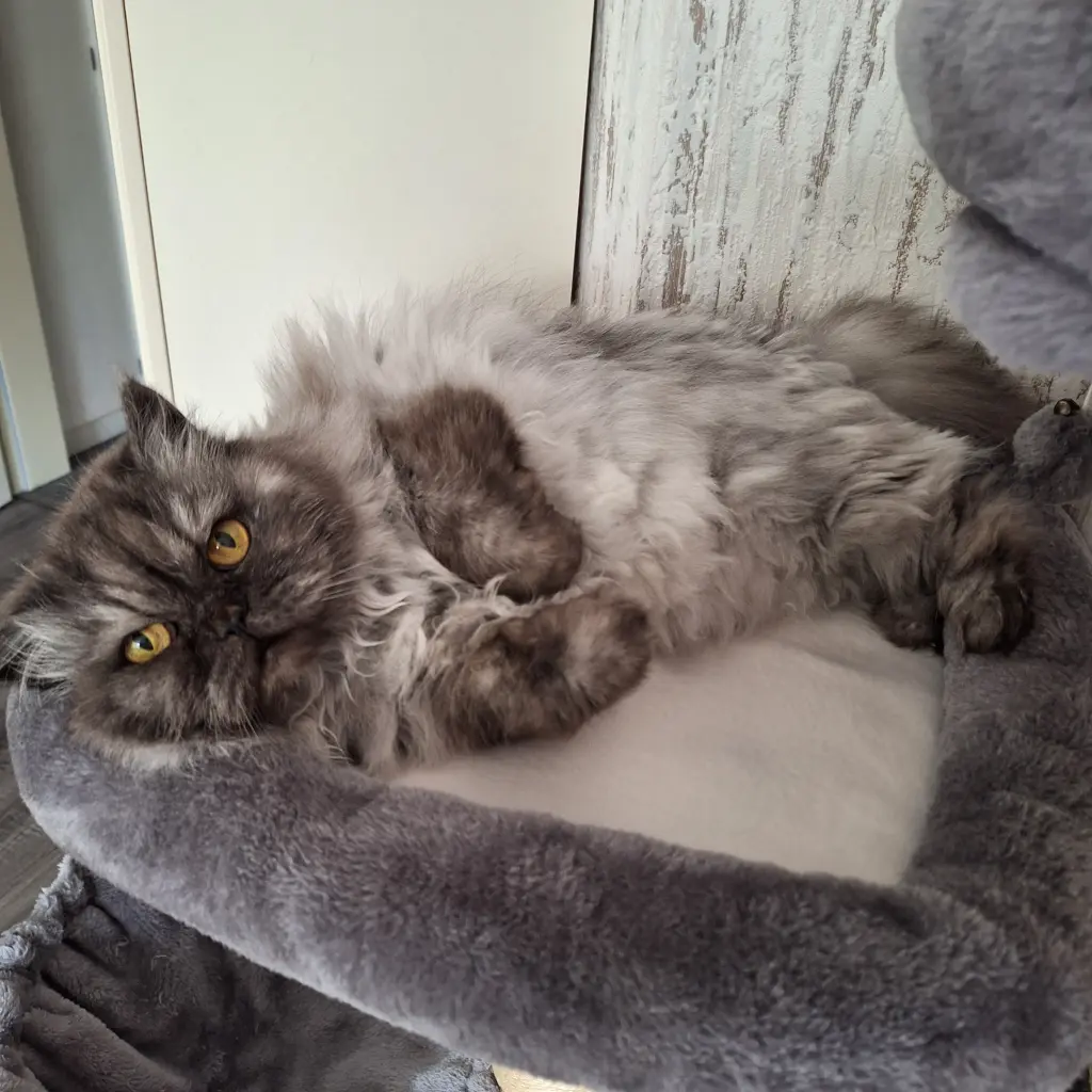 Bild von Sunny