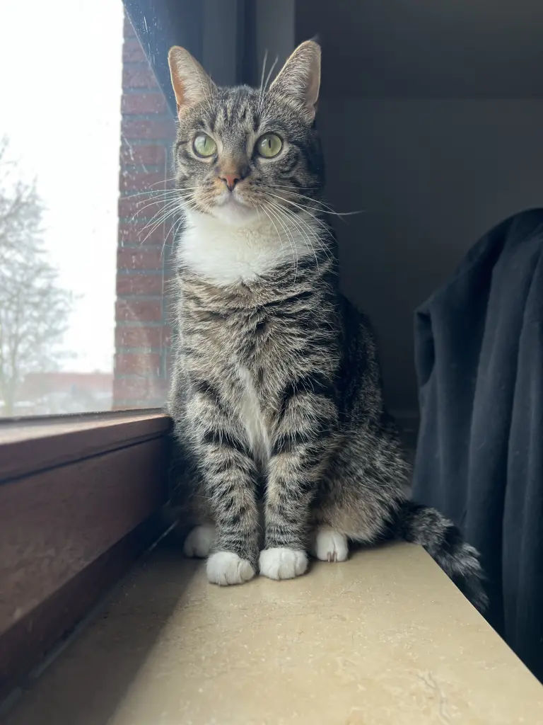 Bild von Mimi