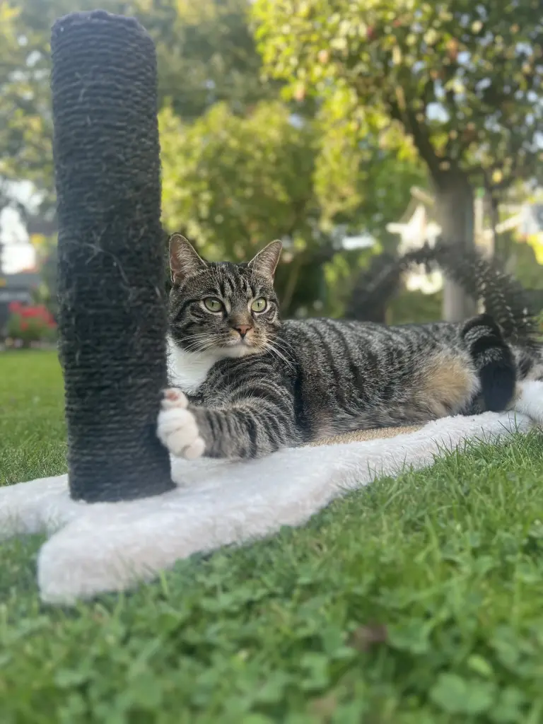Bild von Mimi