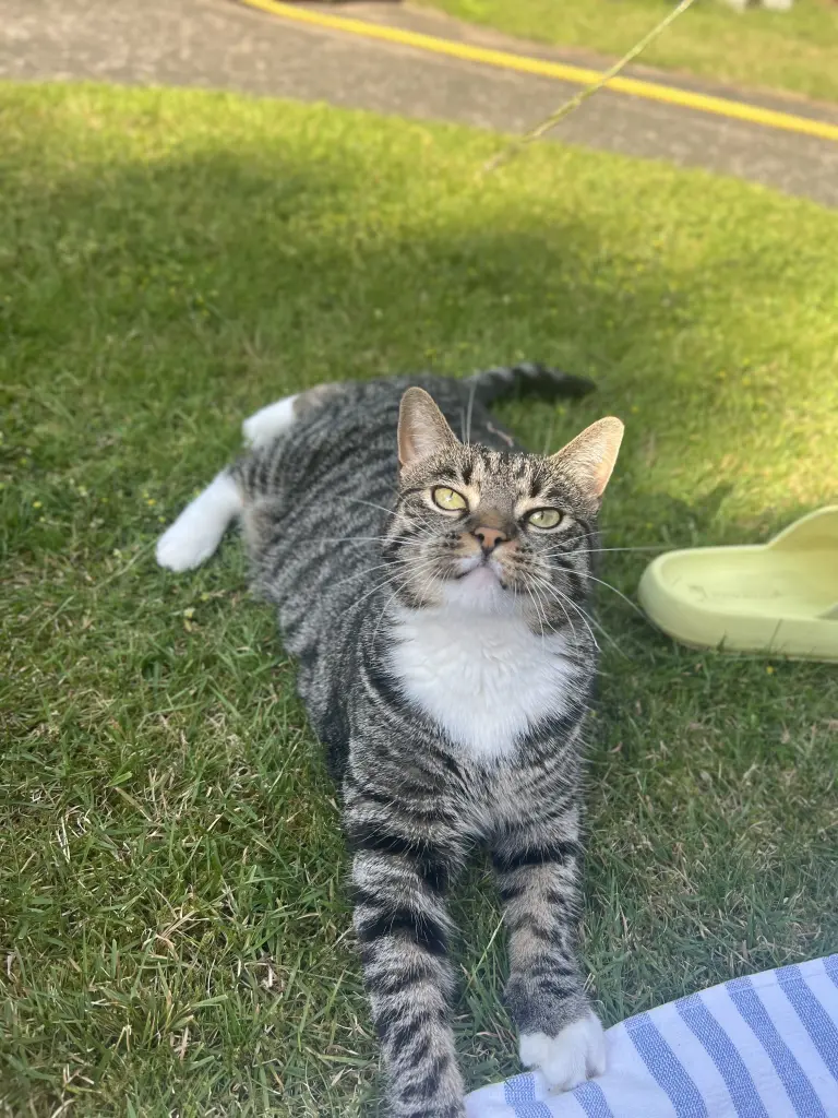 Bild von Mimi