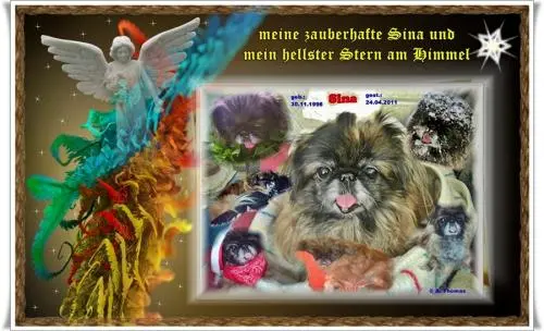 Image from meinen hellsten Stern am Himmel - meine Sina