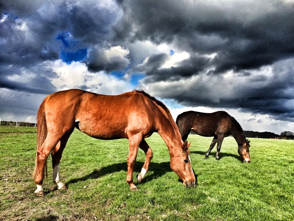 Andachtsbild von Luzie & Winni