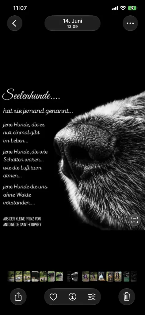 Bild von Aljoscha