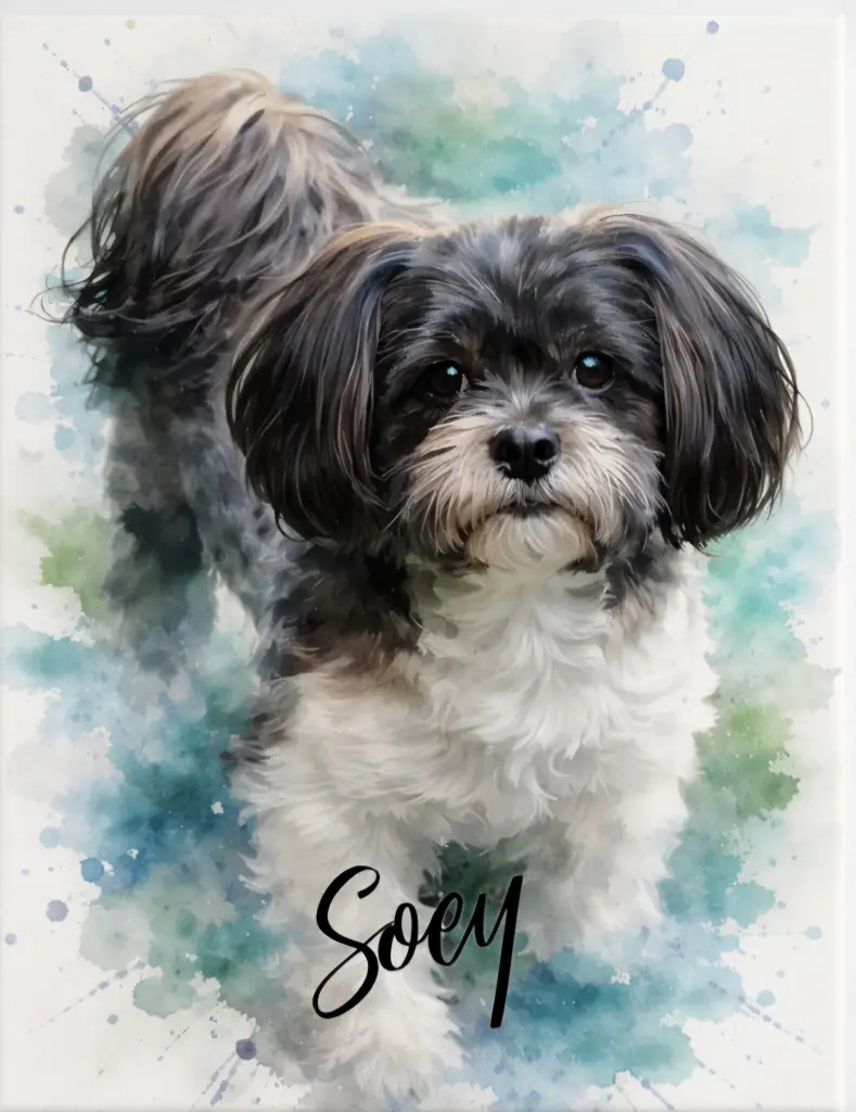 Bild von Soey
