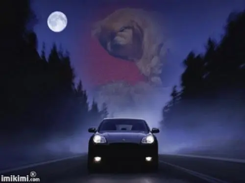 Image from ? meine Sina - auch über Nacht mich bewacht