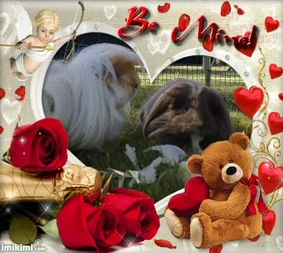 Image from Flöckchen und Löckchen