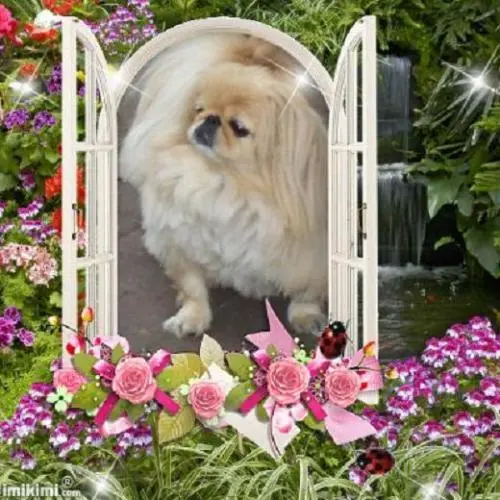 Image from ? meine geliebte Perle  Sina ?