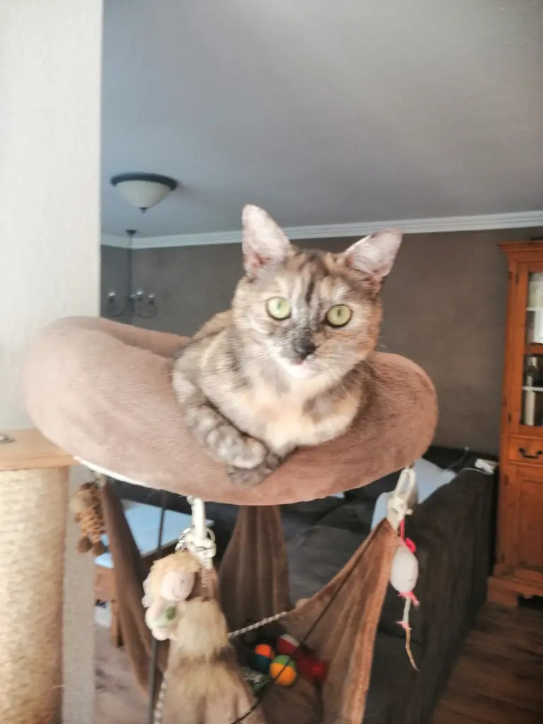 Bild von Amy