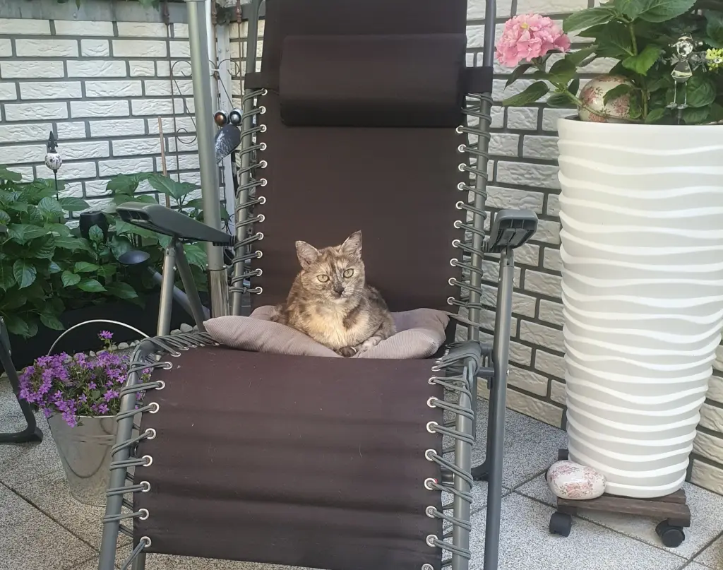 Bild von Amy