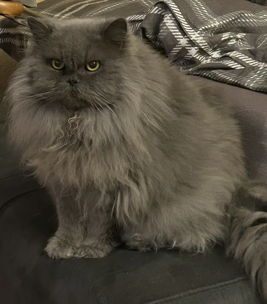 Bild von Benny