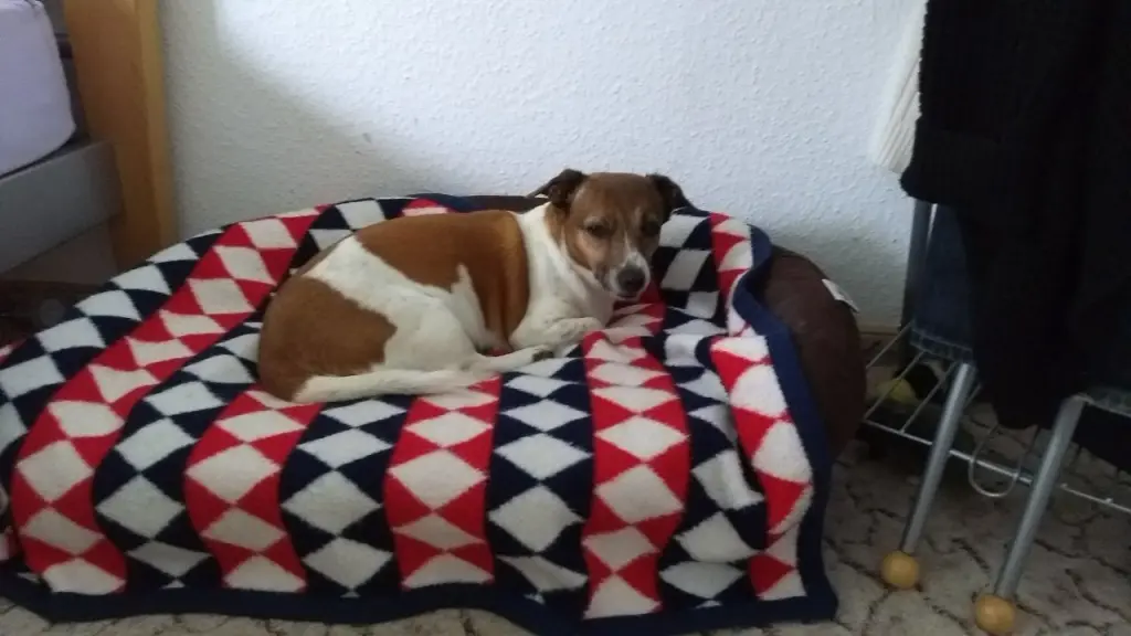 Condolence image of Unbekannt