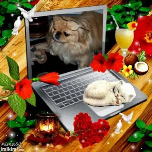 Image from unsere kleine Sina