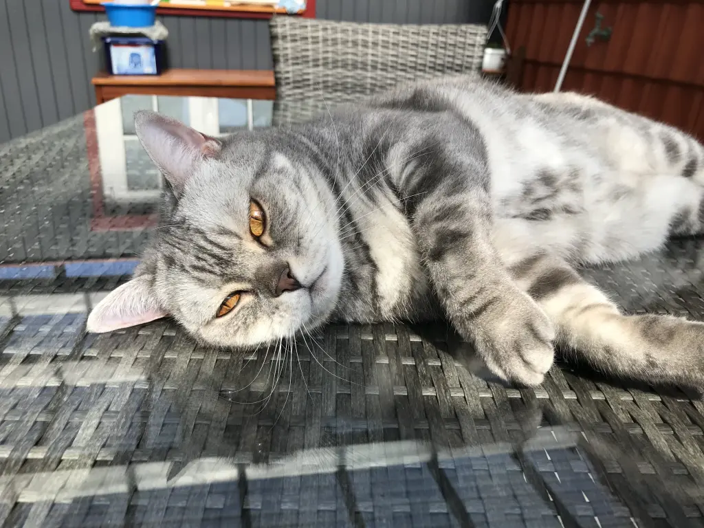 Andachtsbild von Tanja