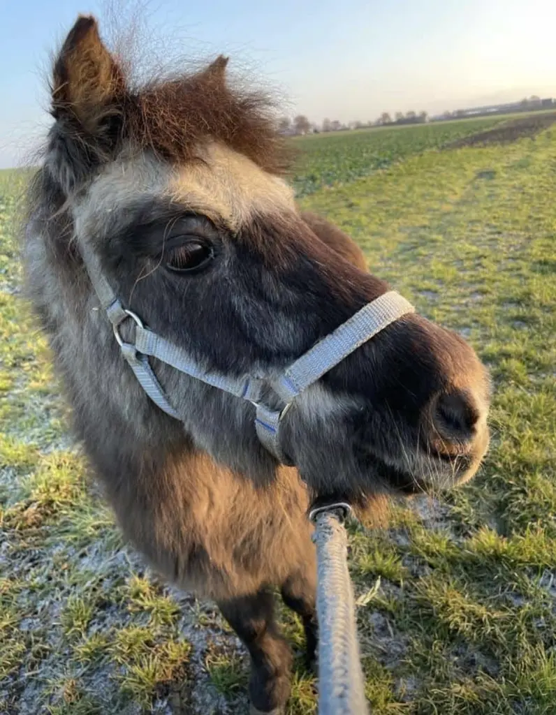 Bild von Flo