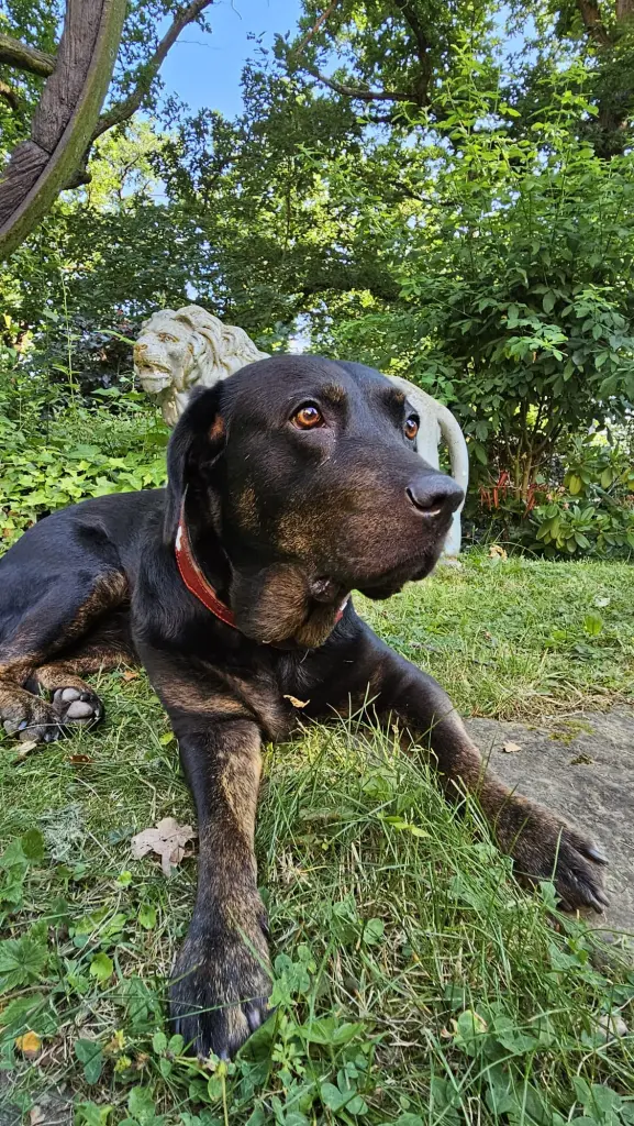 Bild von Emma