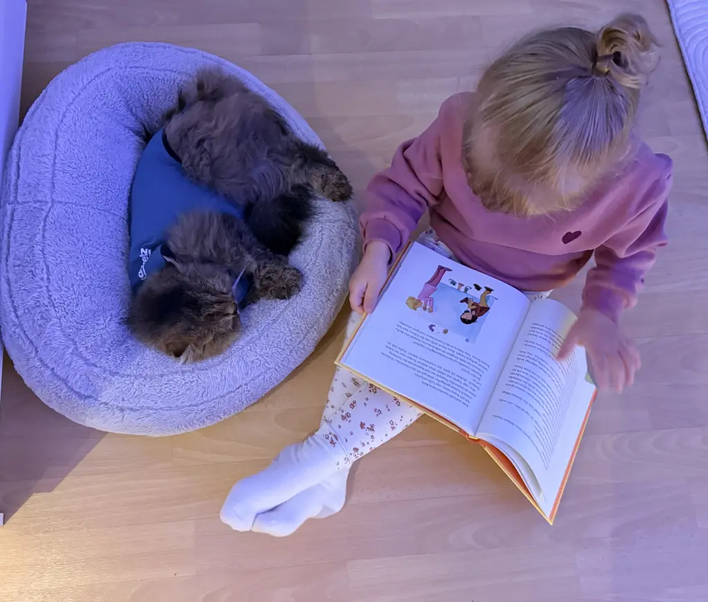 Lia hat dir vorgelesen, damit es dir schnell wieder besser ging.