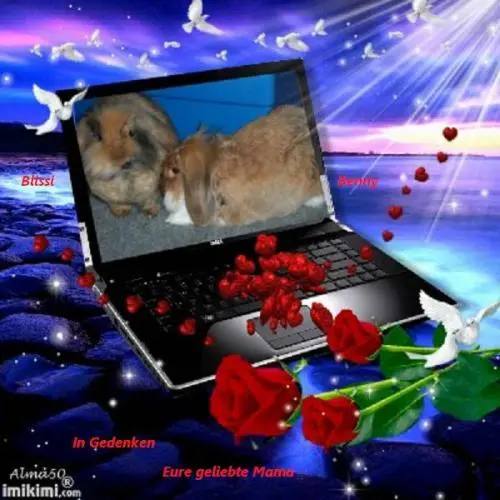 Image from ? meinen Blissi und Benny ?