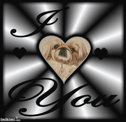 Image from ? meine einzigartige Stubsnase Sina ?