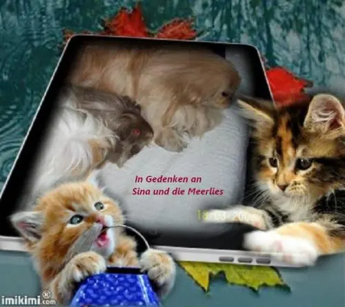 Image from meine allerliebsten Tiere