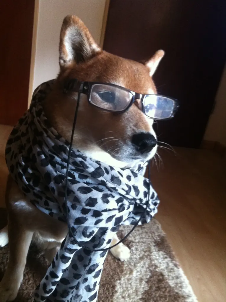 Image from Bonsho