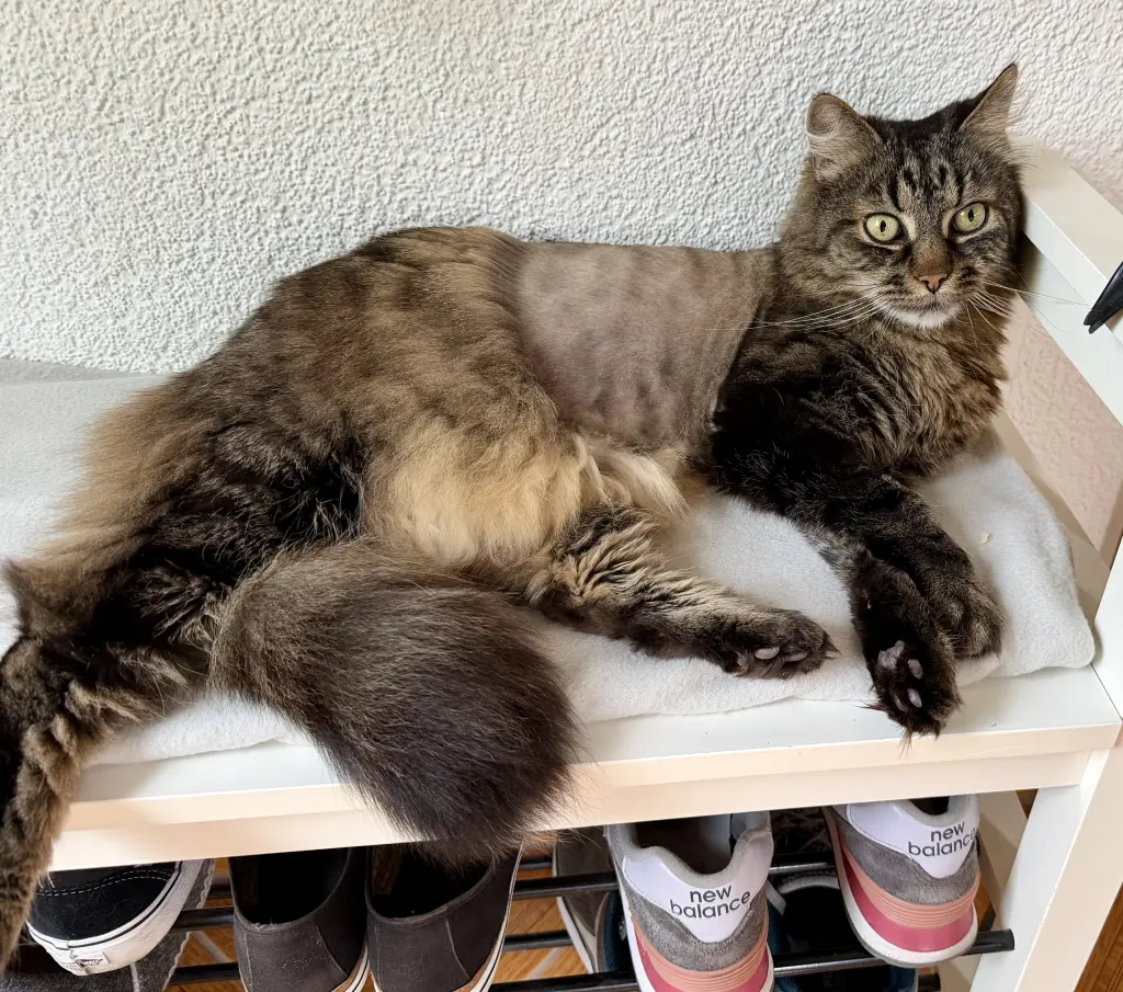 Du warst so ein Kämpfer während deiner Krankheit❣️